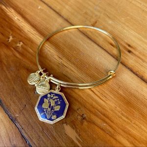 Alex and Ani Violet Charm Bangle